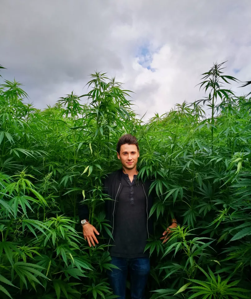 Belgian hemp grower in hemp fields